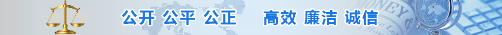 统一 开放 竞争 有序 公开 公平 公正 公信